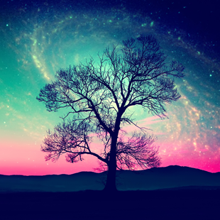 n8.png n8.png